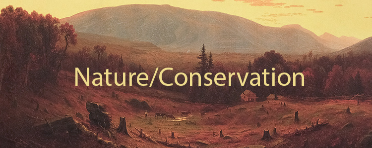 Nature / Conservation