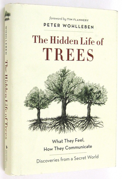 The Hidden Life of Trees