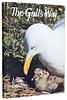 click for a larger image of item #35124, The Gull's Way