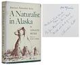 click for a larger image of item #35678, A Naturalist in Alaska