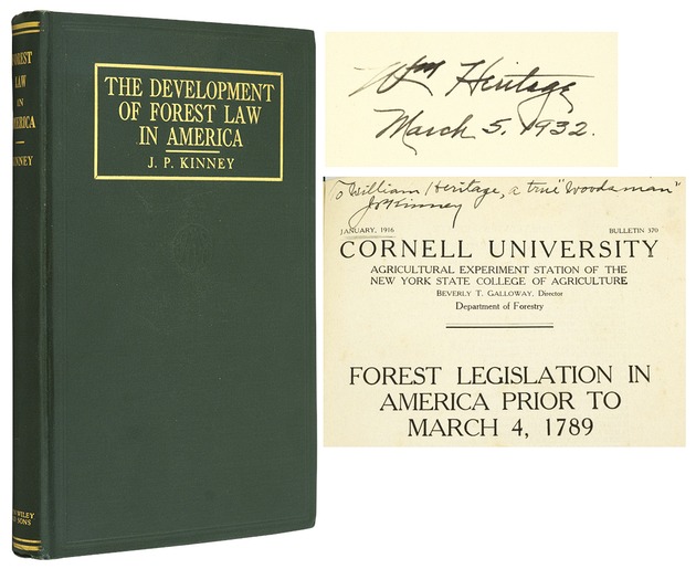 The Development of Forest Law in America